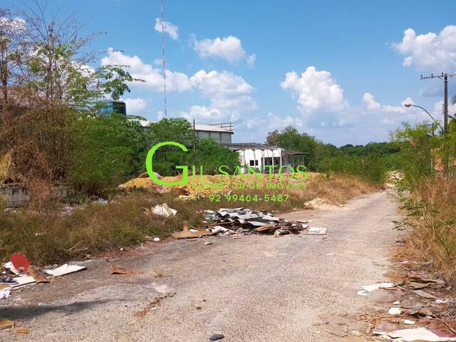 #442 - Área para Locação em Manaus - AM - 1